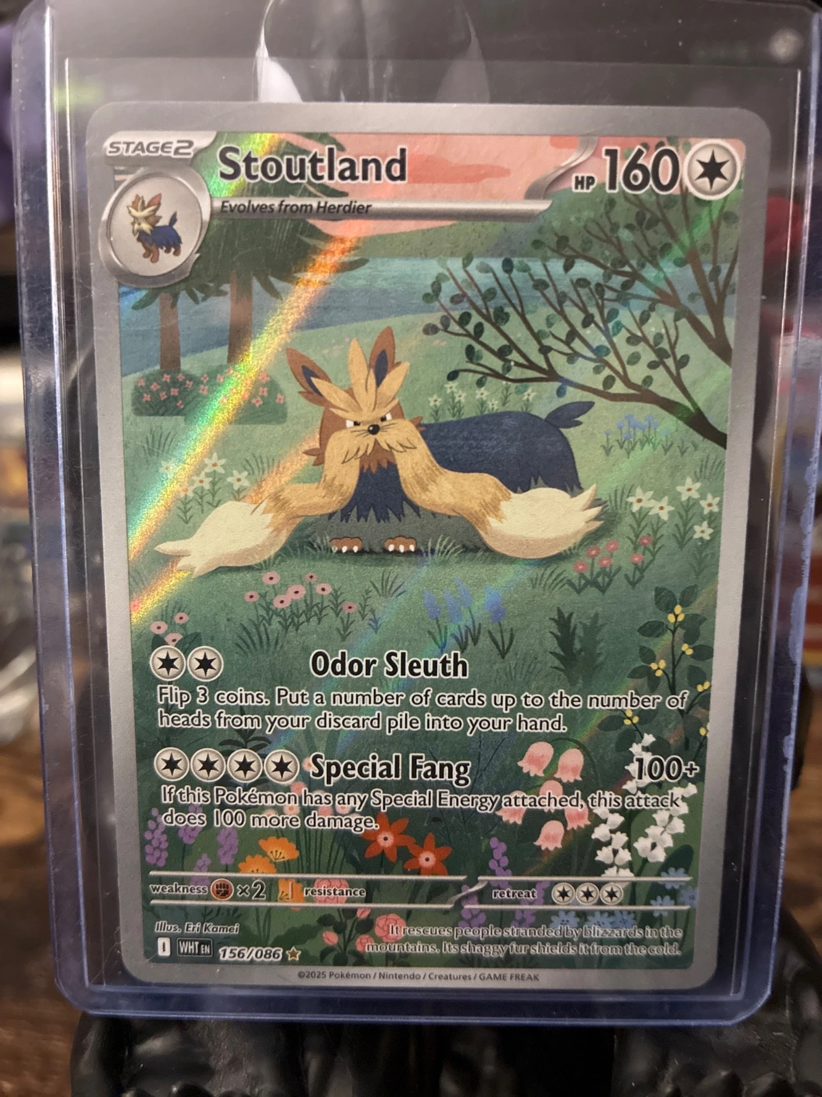 Stoutland - Scarlet & Violet: White Flare #156/086