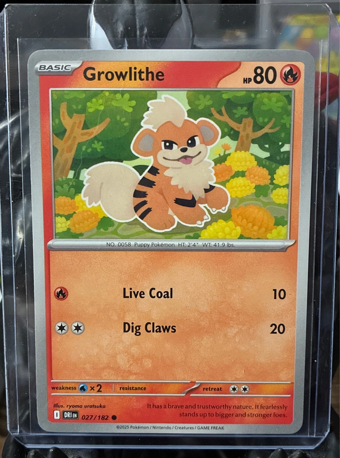 Growlithe - Scarlet & Violet: Destined Rivals #027/182