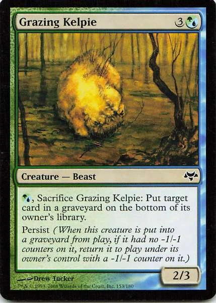 Grazing Kelpie - Eventide #153/180