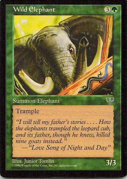 Wild Elephant - Mirage