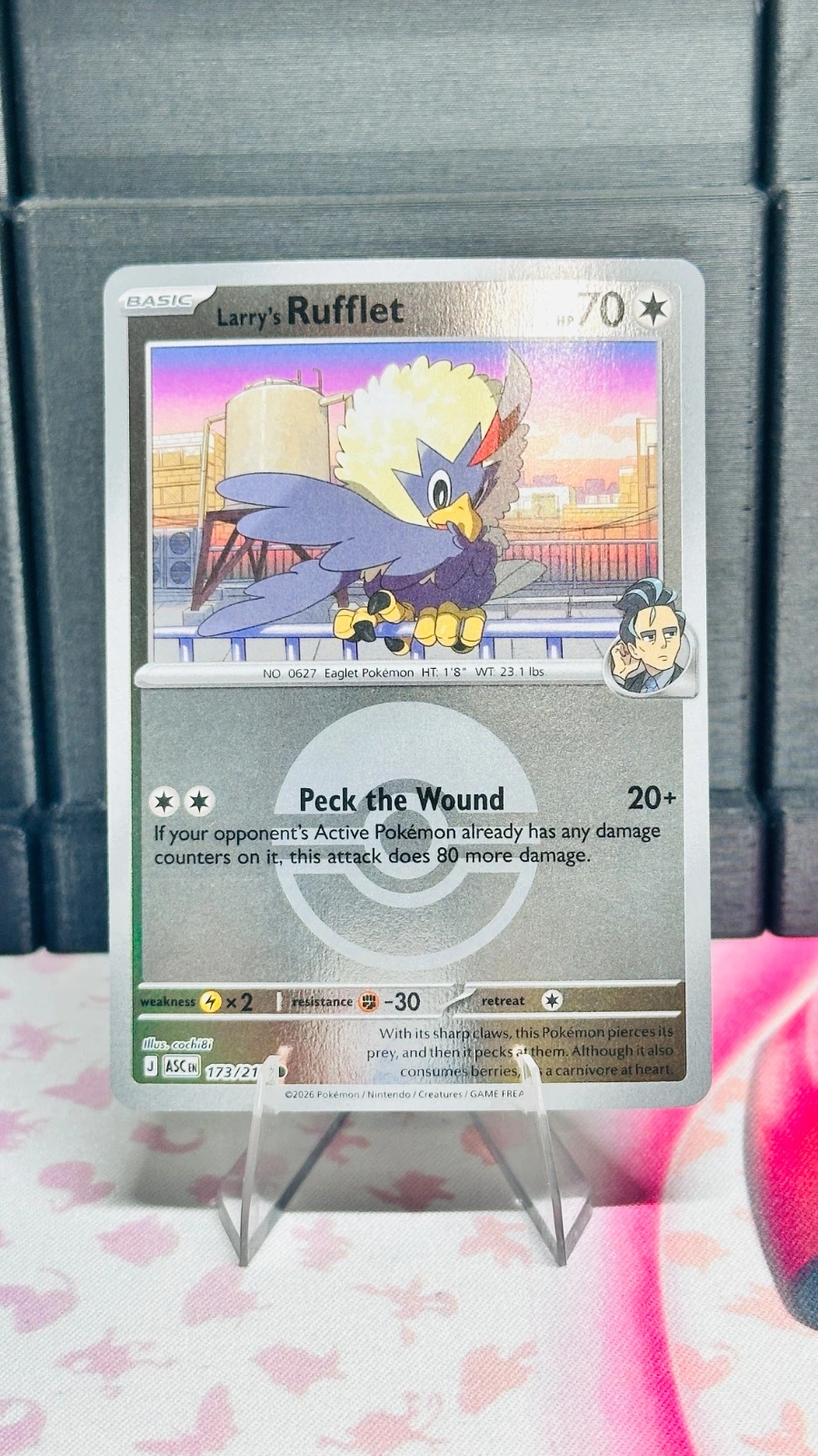 Larry’s Rufflet #173 (poke ball) - Ascended Heroes