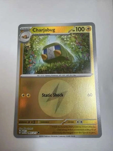 Charjabug - ASC #065/217