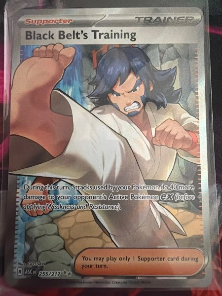 Black Belt's Training - Ascended Heroes #255/217