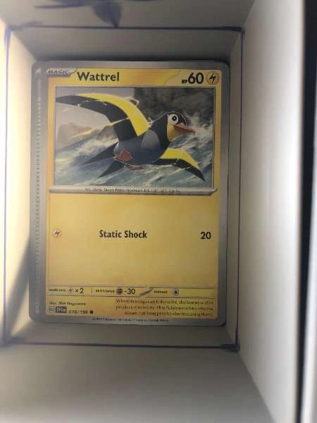 Wattrel - Scarlet & Violet Base Set #078/198
