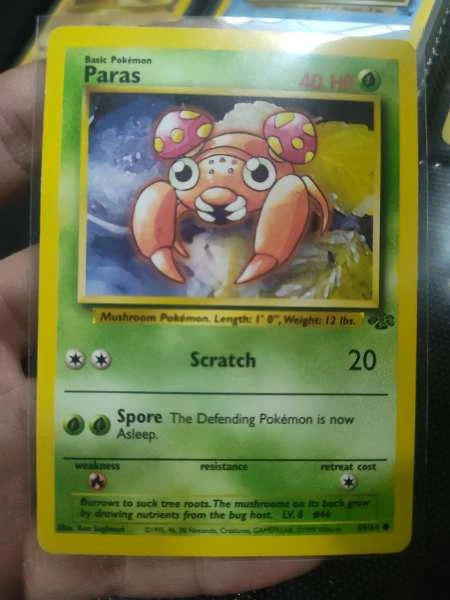 Paras - Jungle #59/64