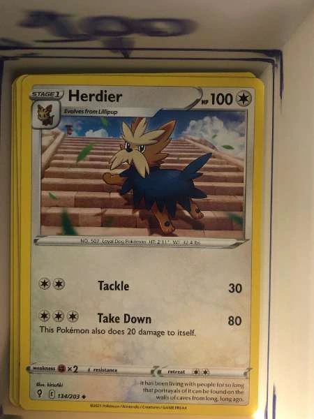 Herdier #134/203
