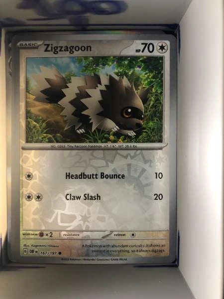 Zigzagoon - Obsidian Flames #167/197