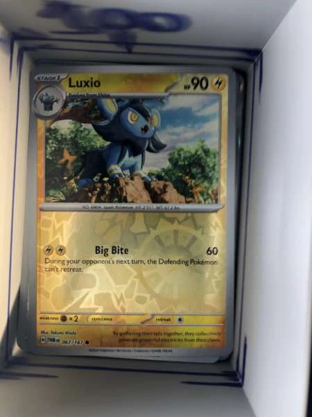 Luxio - Twilight Masquerade #067/167