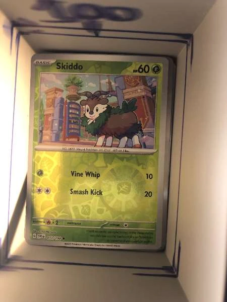 Skiddo - Scarlet & Violet #013/198