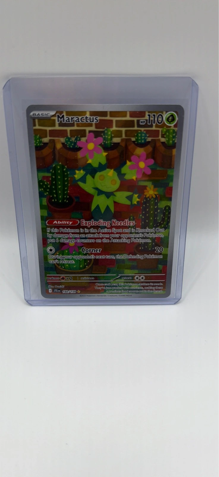 Maractus #160/159