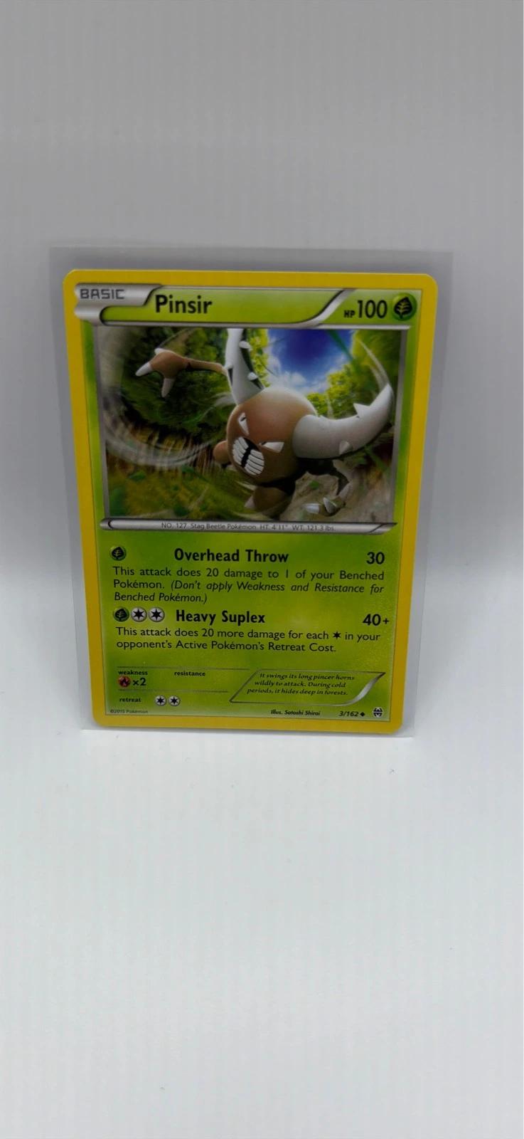 Pinsir #3/162
