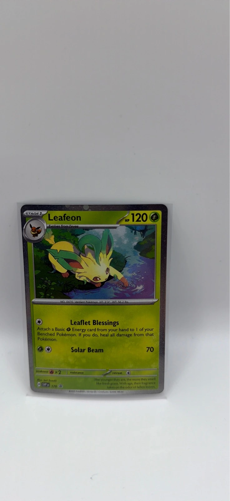 Leafeon #SVP EN 170