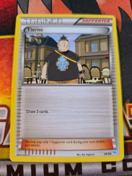 Tierno - XY Trainer Kit: Pikachu Libre & Suicune #29/30