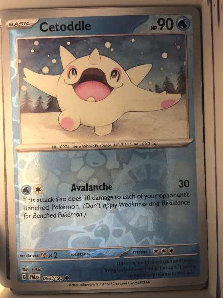 Cetoddle - Paldea Evolved #053/193