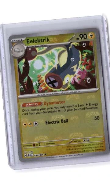 Eelektrik - 031/086 Black Bolt (MasterBall Holo)