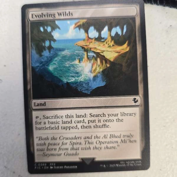 Evolving Wilds - Core Set 2020 #0169