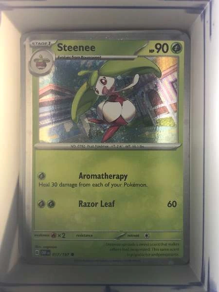Steenee - Obsidian Flames #017/197