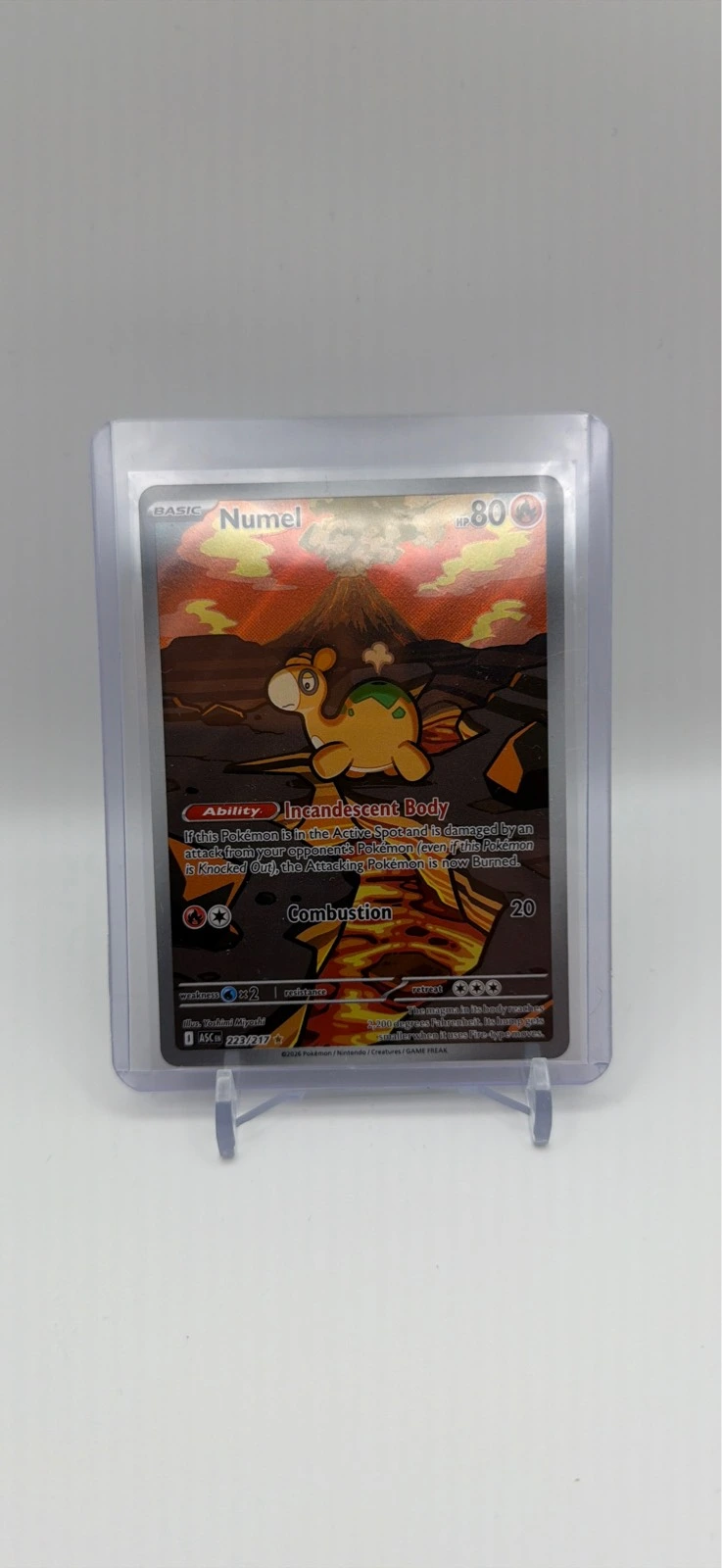 Numel #223/217