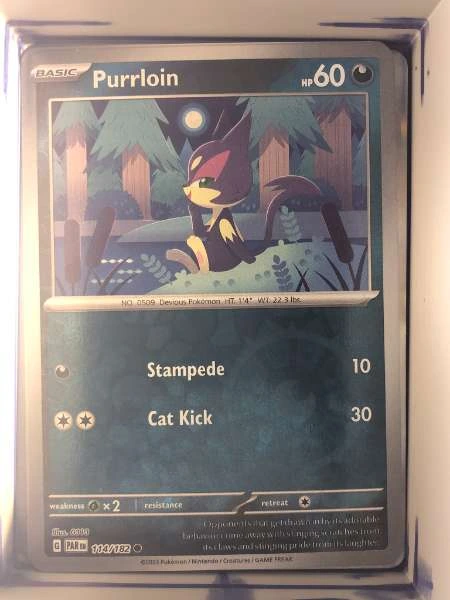 Purrloin - Paradox Rift #114/182