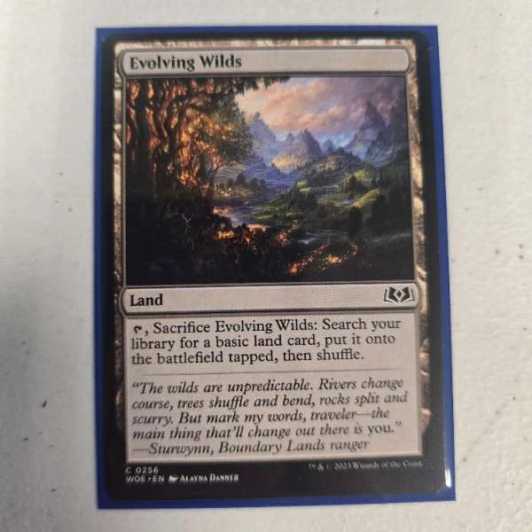 Evolving Wilds - Wilds of Eldraine #0256