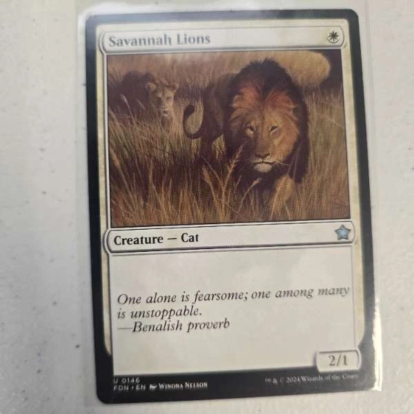 Savannah Lions - Foundations #0146