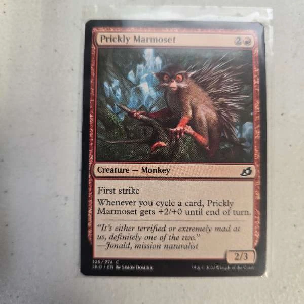 Prickly Marmoset - Ikoria: Lair of Behemoths #129/274
