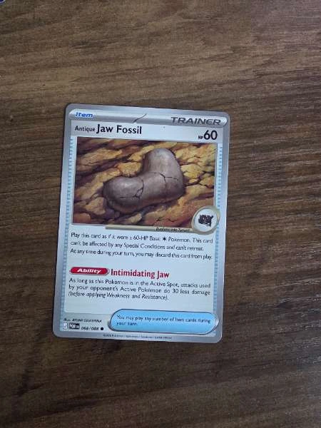 Antique Jaw Fossil - Perfect Order #068/088