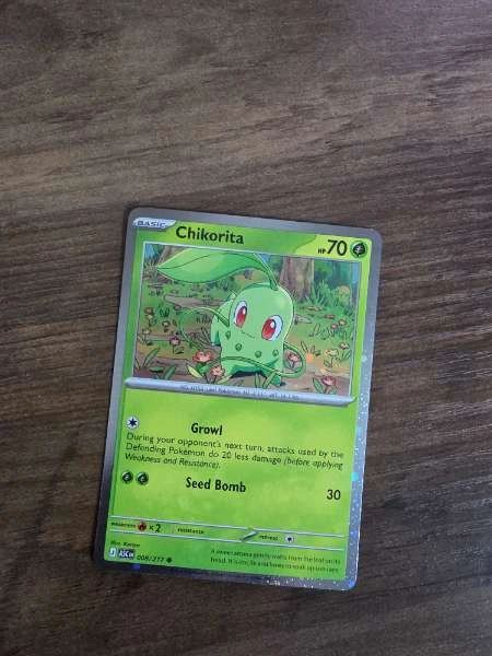 Chikorita - Ascended Heroes #008/217