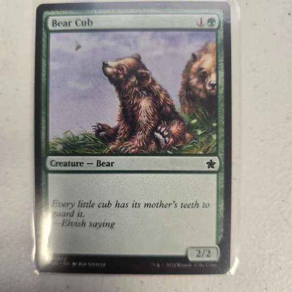 Bear Cub #057
