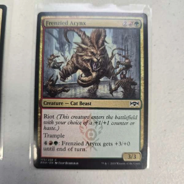 Frenzied Arynx - Ravnica Allegiance #173/259