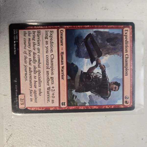 Expedition Champion - Zendikar Rising #138/280
