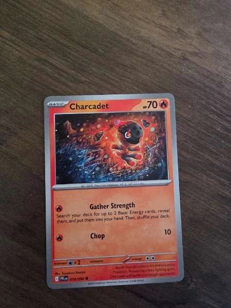 Charcadet - Phantasmal Flames #019/094