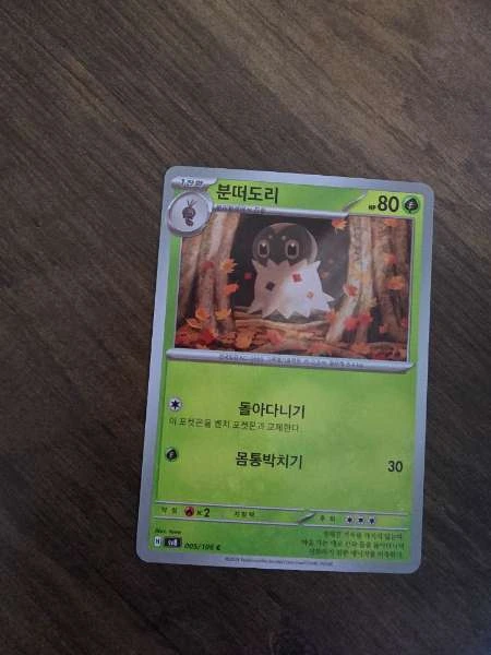 Pineco (Korean) #005/106