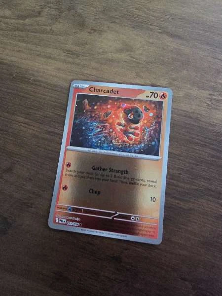 Charcadet - Multiple Sets #013/094