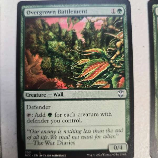 Overgrown Battlement - Streets of New Capenna Commander #303