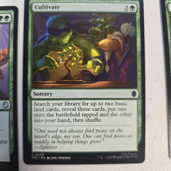 Cultivate - Secret Lair x Teenage Mutant Ninja Turtles #0050