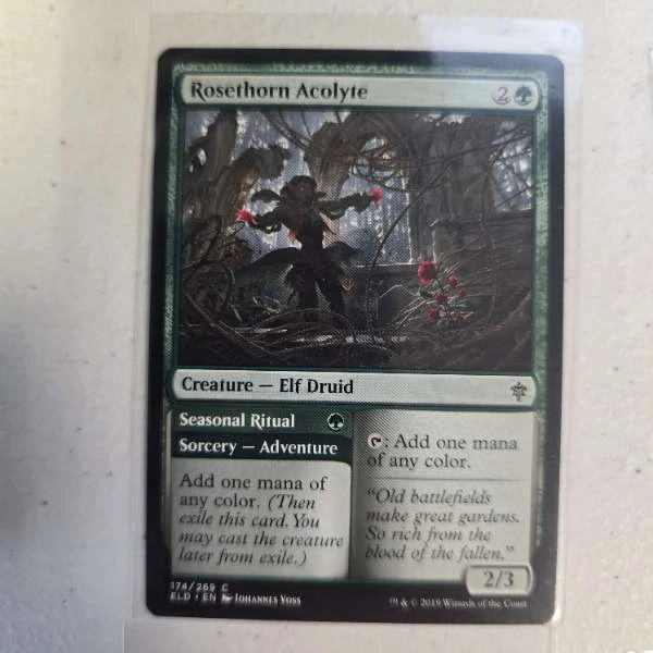 Rosethorn Acolyte - Throne of Eldraine #174/269
