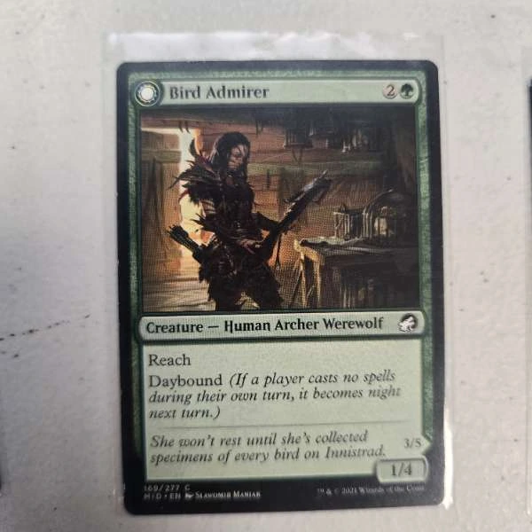 Bird Admirer - Innistrad: Midnight Hunt #169/277