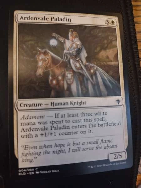 Ardenvale Paladin - Throne of Eldraine #004/269