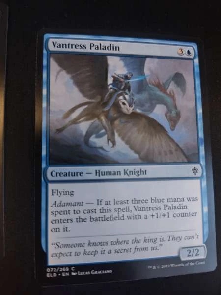 Vantress Paladin - Throne of Eldraine #072/269