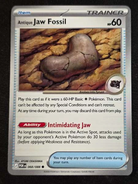 Antique Jaw Fossil - Perfect Order #068/088