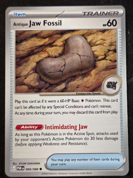 Antique Jaw Fossil - Perfect Order #068/088