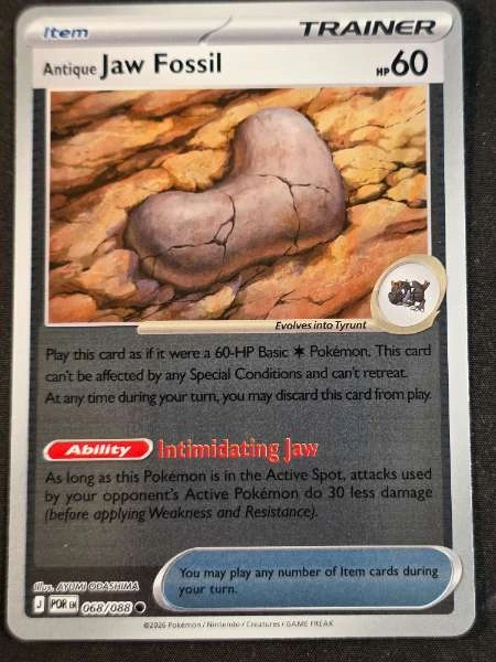 Antique Jaw Fossil #068/088
