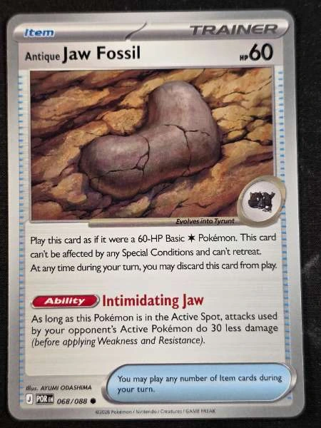 Antique Jaw Fossil - Perfect Order #068/088