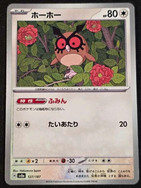 Hoothoot (Japanese) - Terastal Festival ex #127/187