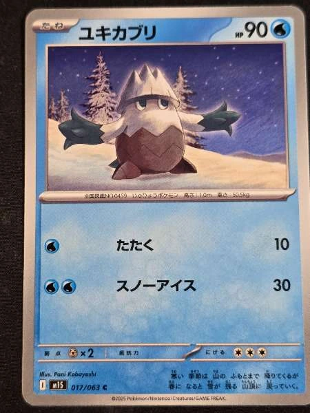 Yukikaburi (Japanese) #017/063