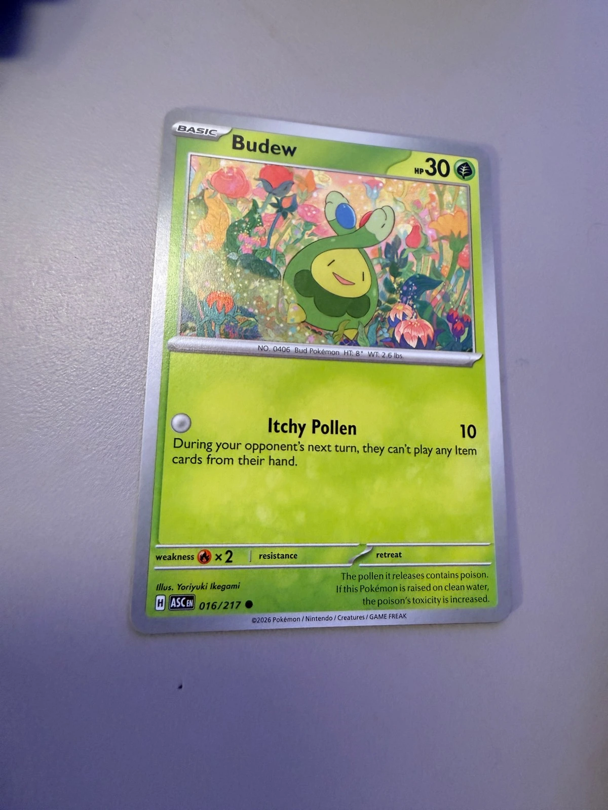 Budew - Ascension #016/217