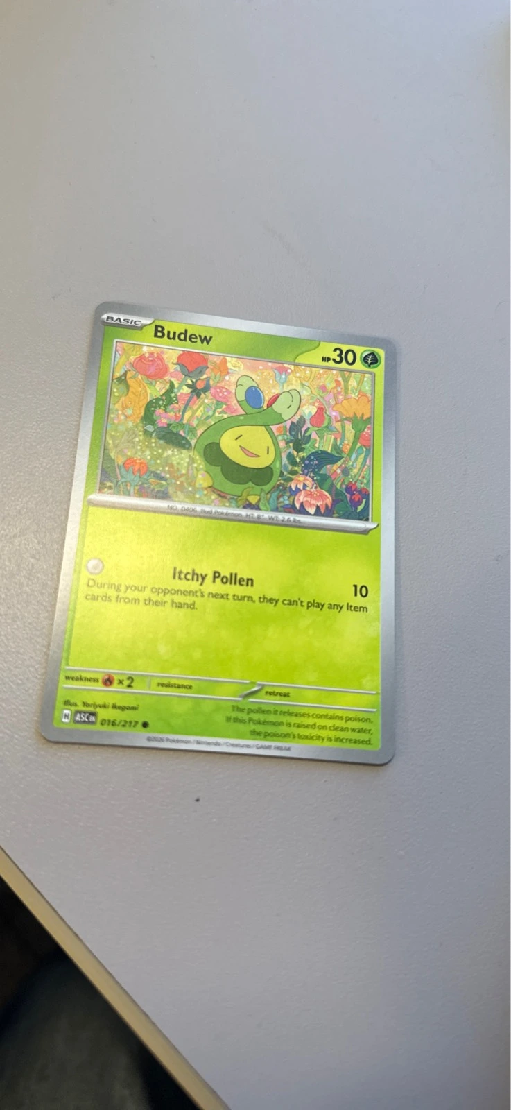 Budew - Ascended Heroes #016/217