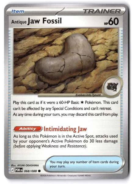 Antique Jaw Fossil - Perfect Order #068/088