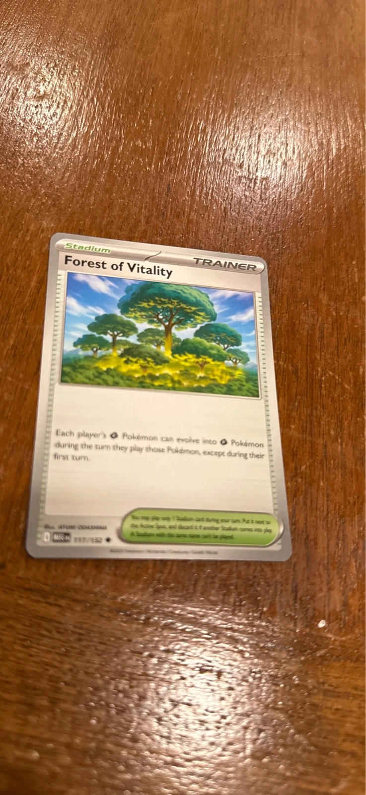 Forest of Vitality - Mega Evolution #117/132